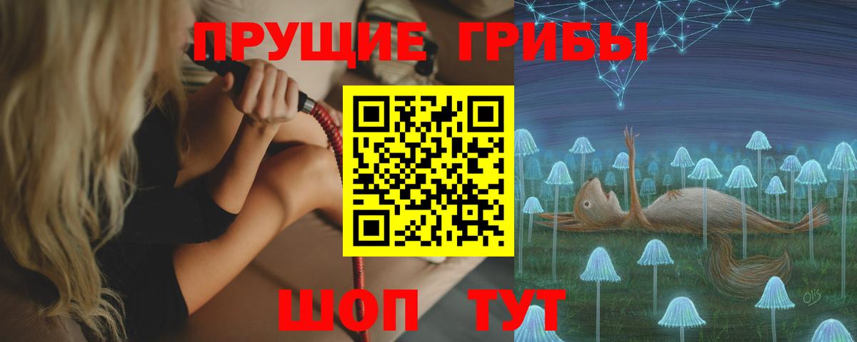 Псилоцибиновые грибы Magic Shrooms  Вход с VPN  купить  сайты  Камышин  Псилоцибиновые грибы Psilocybe 